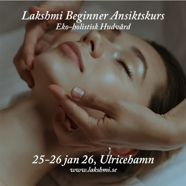 Ansikte - Beginner